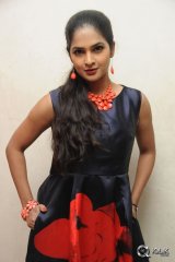 Madhumitha at Bhale Bhale Magadivoy Movie Success Meet